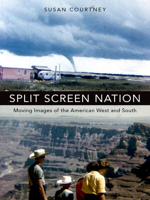 cover image of Split Screen Nation
